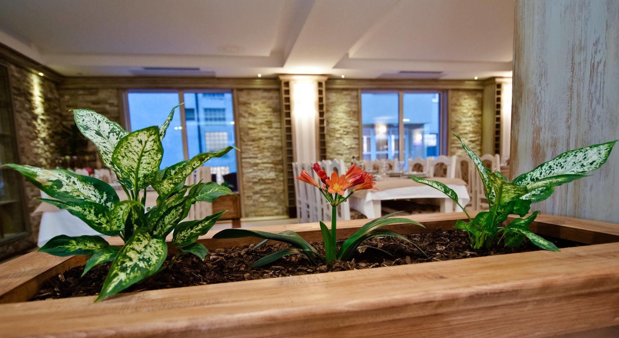 Hotel Wine Cesarica